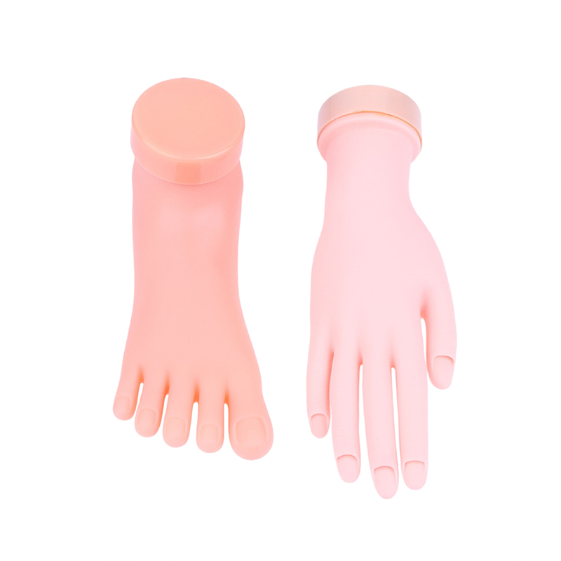 Nail Art Training Practice Han - Nail Art Fake Nails review and price