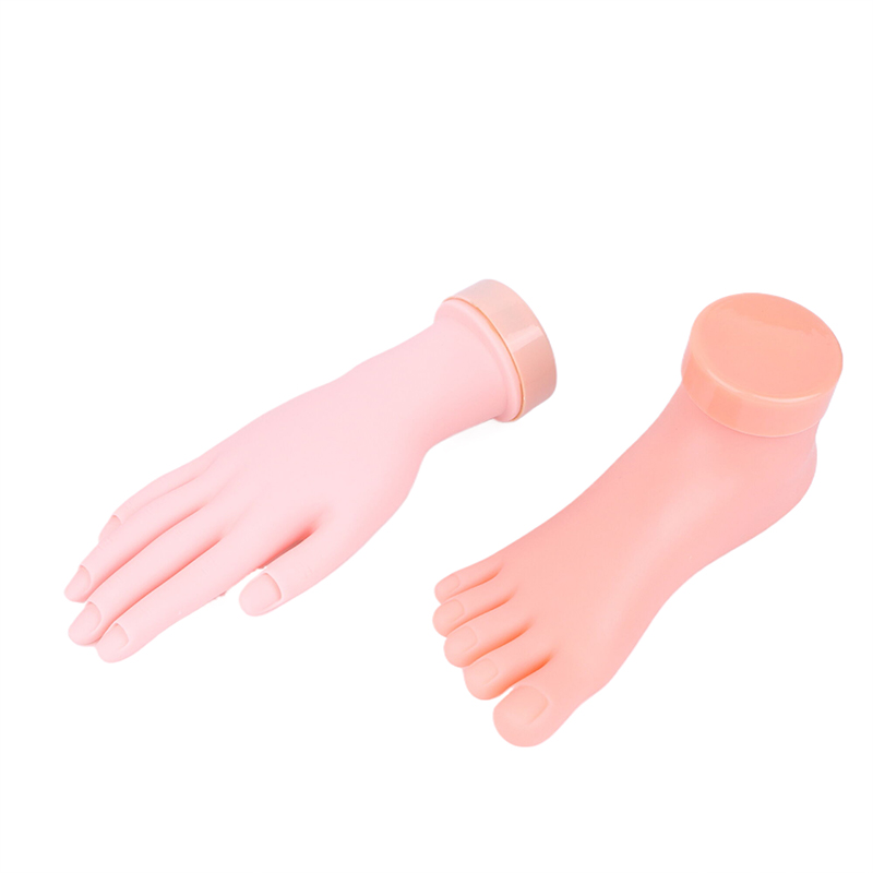 Nail Art Training Practice Han - Nail Art Fake Nails review and price